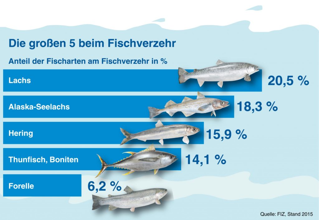 Welche Fische werden am meisten gegessen