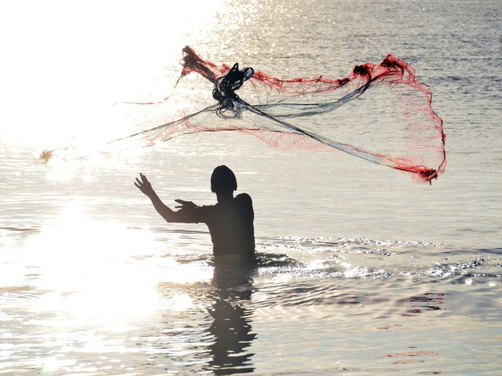 Darf man noch Fisch essen