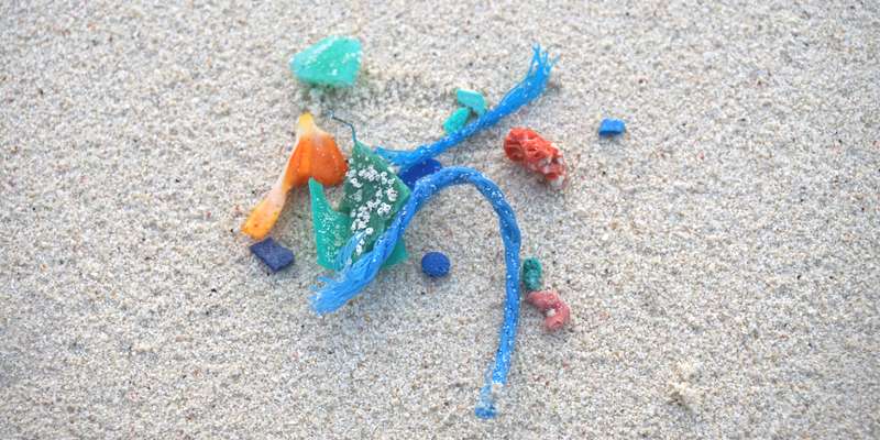 Mikroplastik Ozeankind
