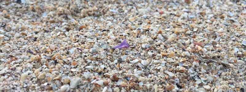 Mikroplastik im Sand