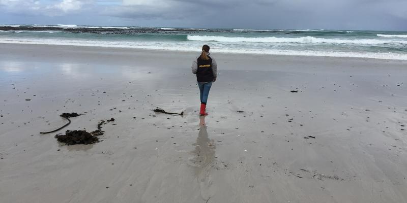 Mikroplastik am Strand